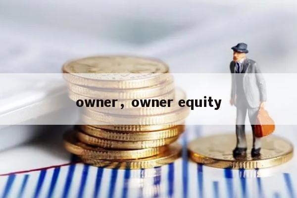 owner，owner equity