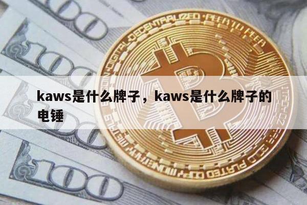 kaws是什么牌子，kaws是什么牌子的电锤