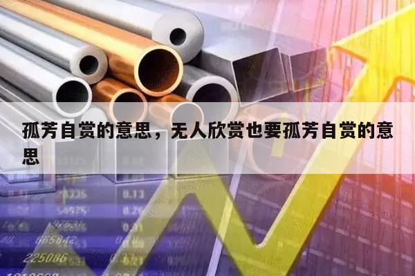 孤芳自赏的意思，无人欣赏也要孤芳自赏的意思