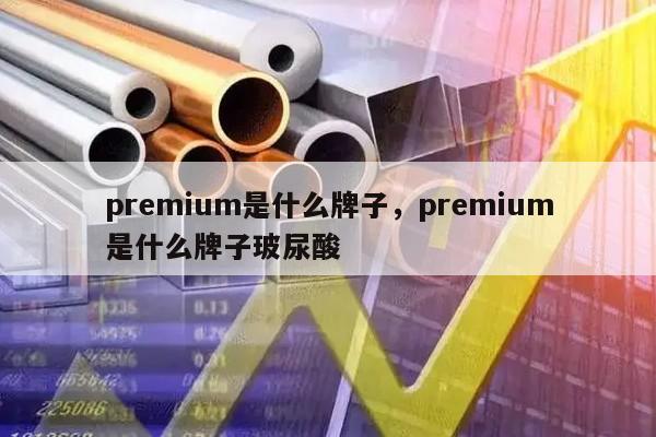 premium是什么牌子，premium是什么牌子玻尿酸