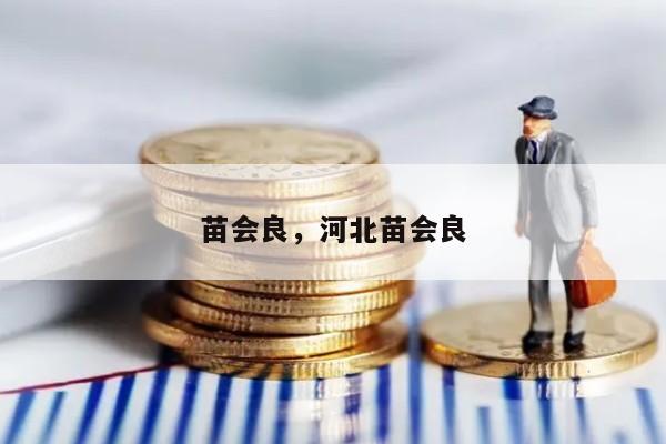 苗会良，河北苗会良