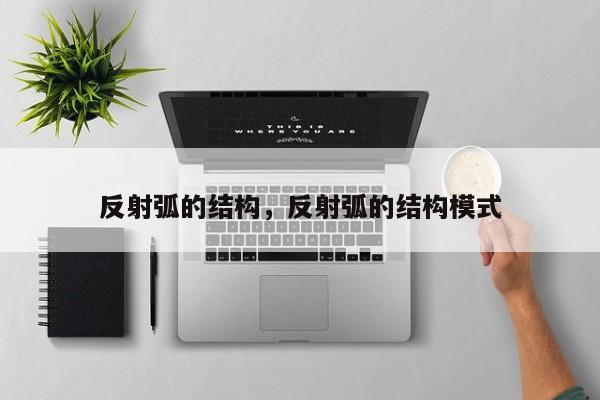 反射弧的结构，反射弧的结构模式