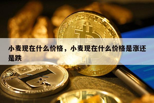 小麦现在什么价格，小麦现在什么价格是涨还是跌