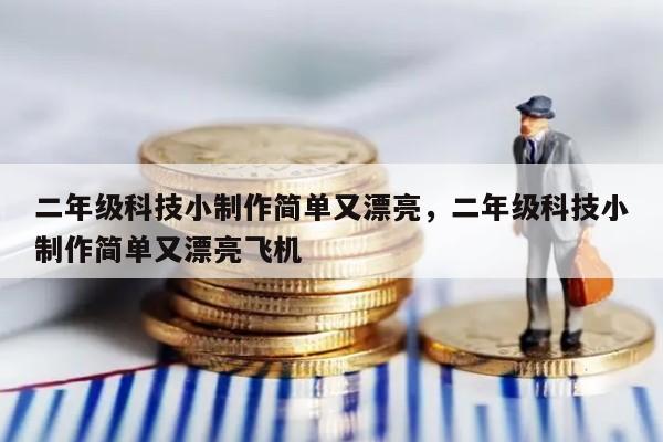 二年级科技小制作简单又漂亮，二年级科技小制作简单又漂亮飞机