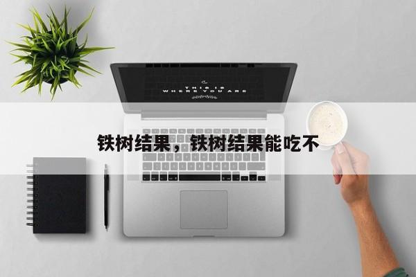 铁树结果，铁树结果能吃不