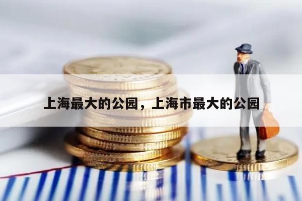 上海最大的公园，上海市最大的公园