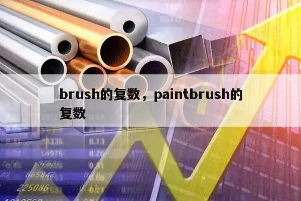 brush的复数，paintbrush的复数