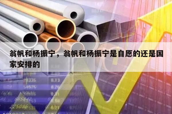 翁帆和杨振宁，翁帆和杨振宁是自愿的还是国家安排的