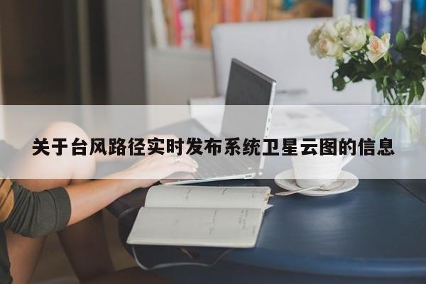 关于台风路径实时发布系统卫星云图的信息