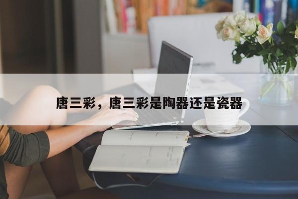 唐三彩，唐三彩是陶器还是瓷器