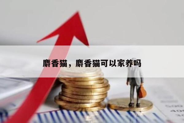 麝香猫，麝香猫可以家养吗