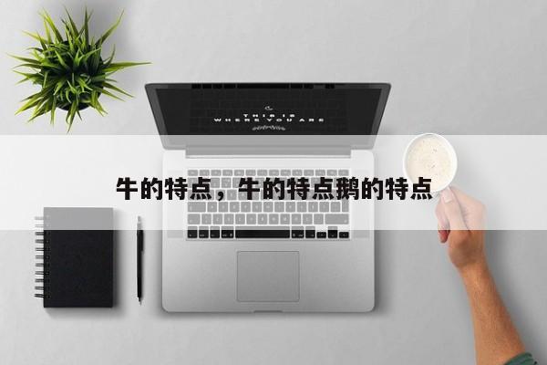 牛的特点，牛的特点鹅的特点