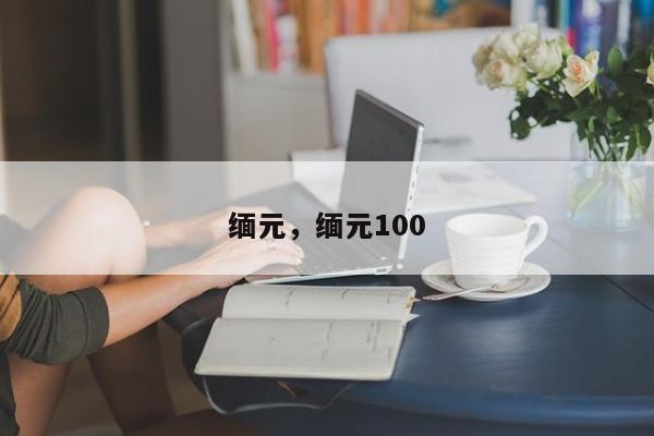 缅元，缅元100