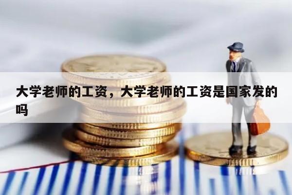 大学老师的工资，大学老师的工资是国家发的吗