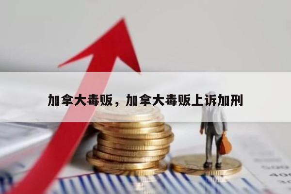 加拿大毒贩，加拿大毒贩上诉加刑