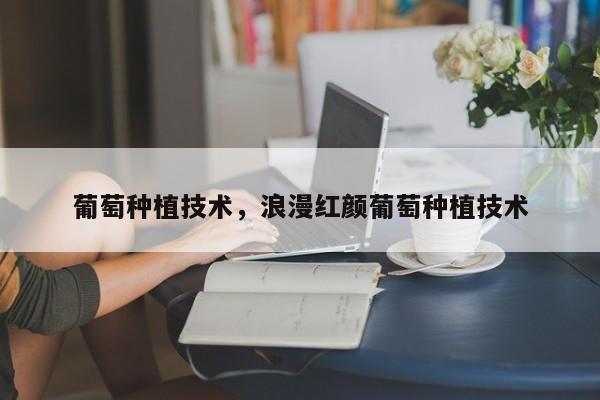 葡萄种植技术，浪漫红颜葡萄种植技术