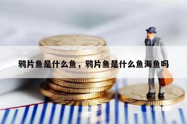 鸦片鱼是什么鱼，鸦片鱼是什么鱼海鱼吗