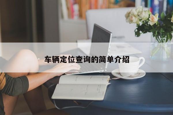车辆定位查询的简单介绍